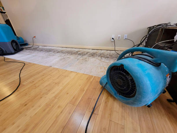 Professional Sewage Cleanup technician working in West Harwich, MA